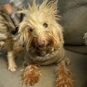 Fundraising Page: Katherine Peery